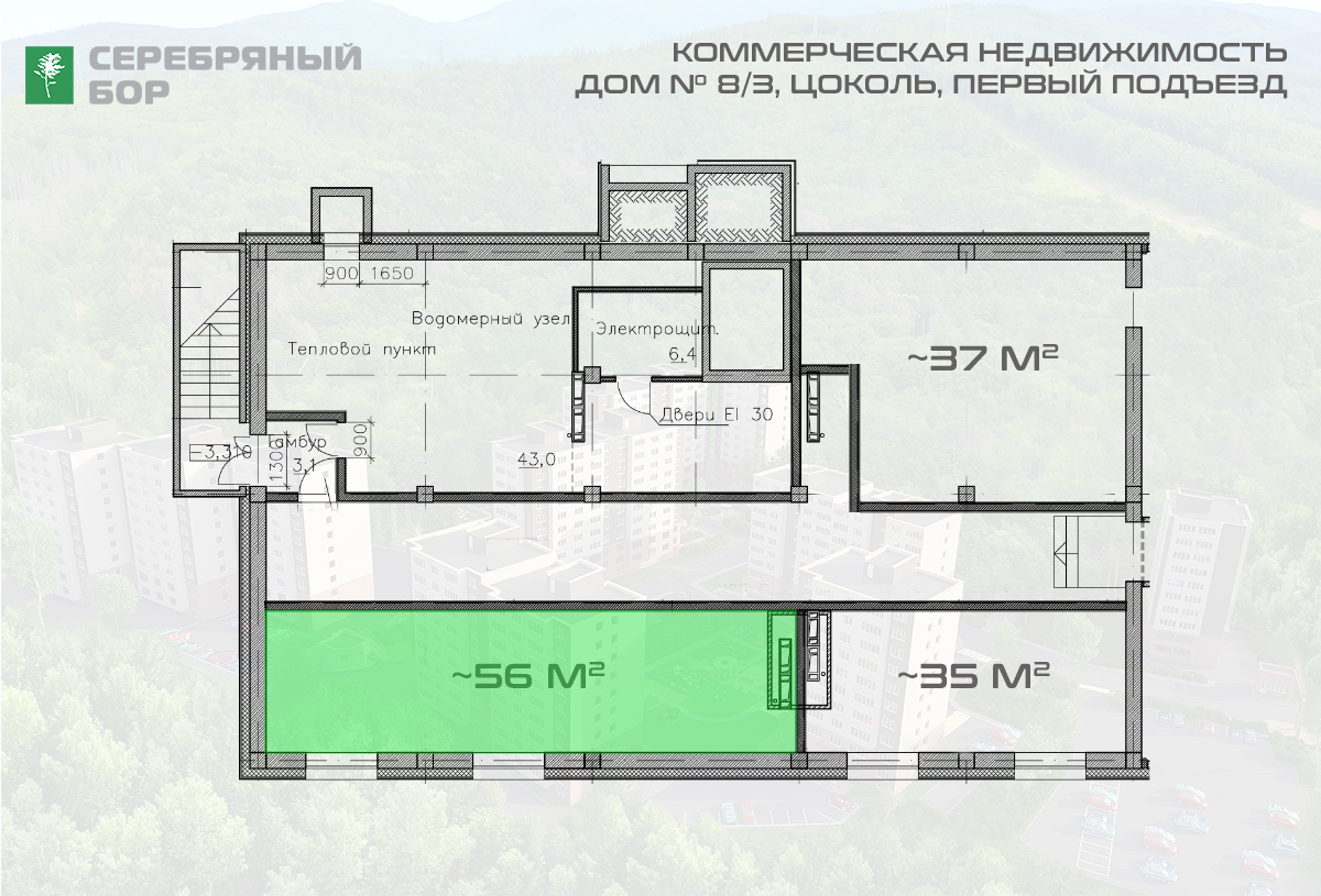 Помещение № 313