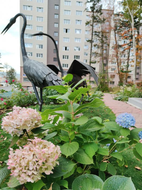 Сентябрь 2020