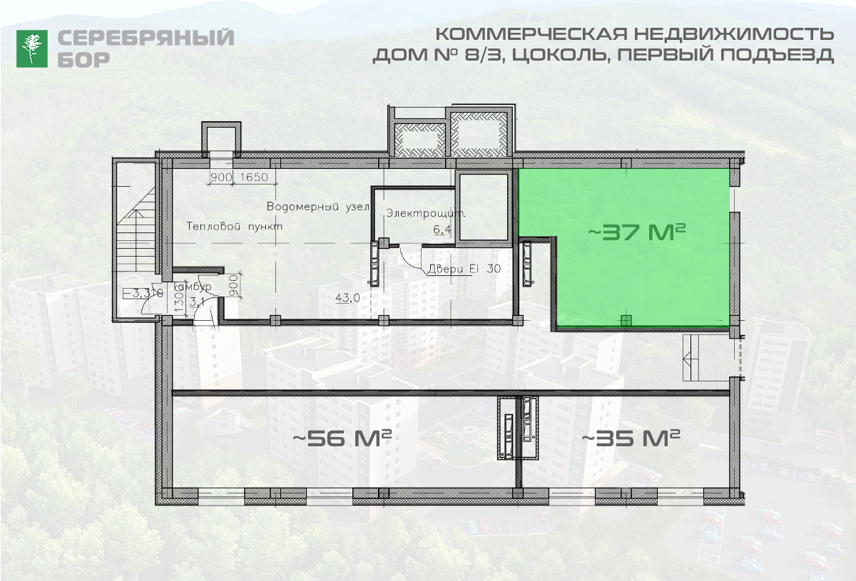 Помещение № 311